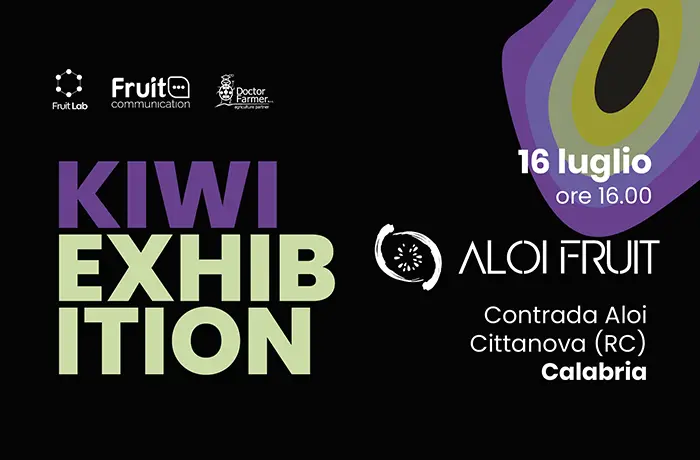 A Cittanova\u00A0una giornata tecnica dedicata a produttività, qualità e innovazione nella coltivazione del kiwi\n