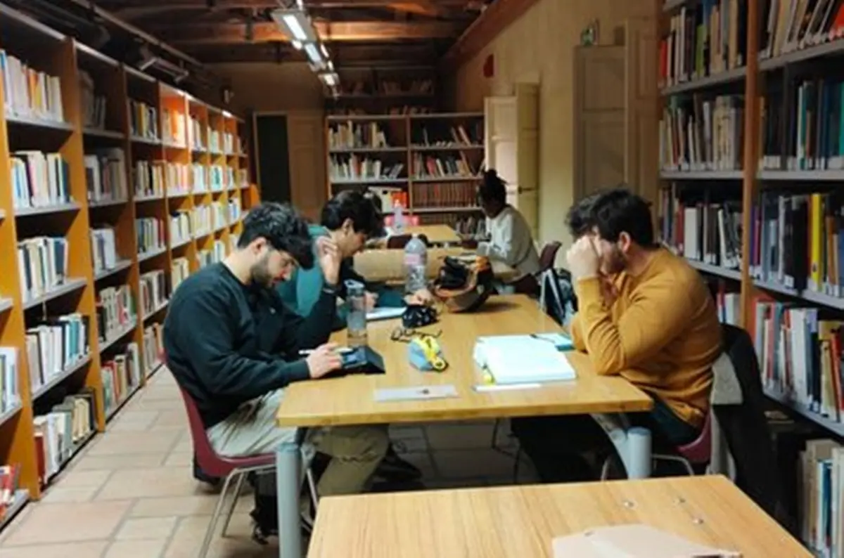 L’Agonia del Sistema Bibliotecario Vibonese: 700mila euro di debiti e lo spettro della liquidazione. La cultura muore nel silenzio dei sindaci\n