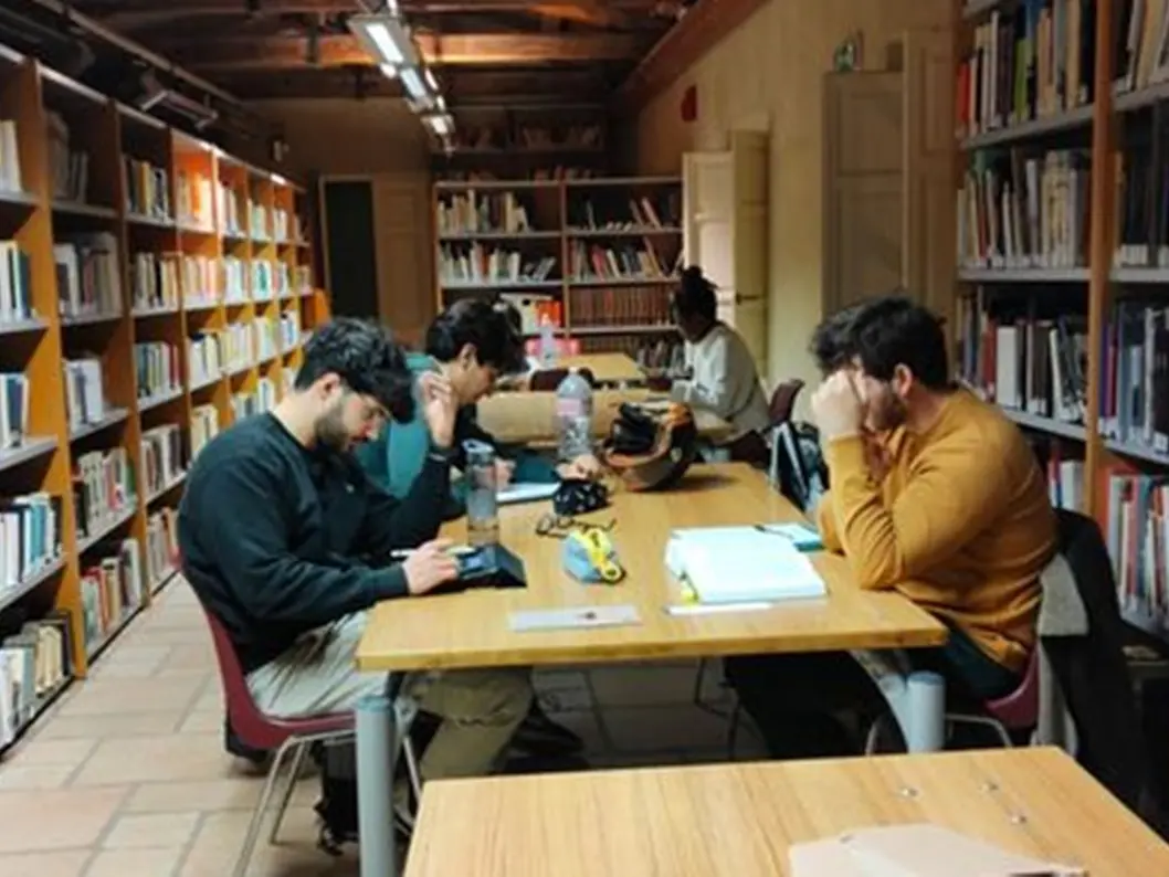 L’Agonia del Sistema Bibliotecario Vibonese: 700mila euro di debiti e lo spettro della liquidazione. La cultura muore nel silenzio dei sindaci