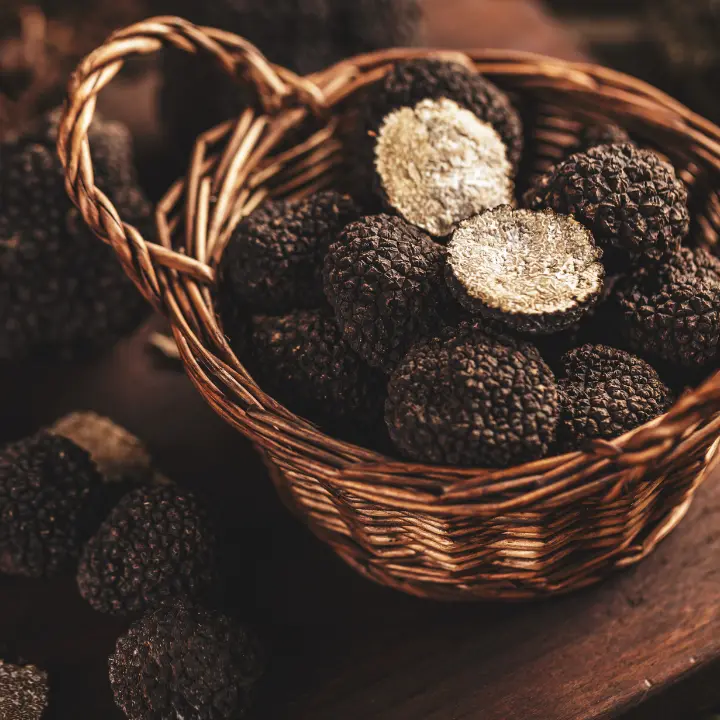 L’azienda Sassone\u00A0protagonista del progetto De.C.O. del Tartufo Nero di Montegiordano\n