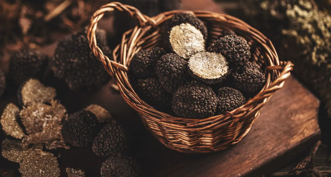 L’azienda Sassone\u00A0protagonista del progetto De.C.O. del Tartufo Nero di Montegiordano\n