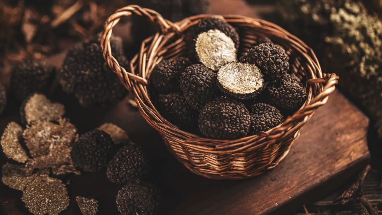 L’azienda Sassone\u00A0protagonista del progetto De.C.O. del Tartufo Nero di Montegiordano\n