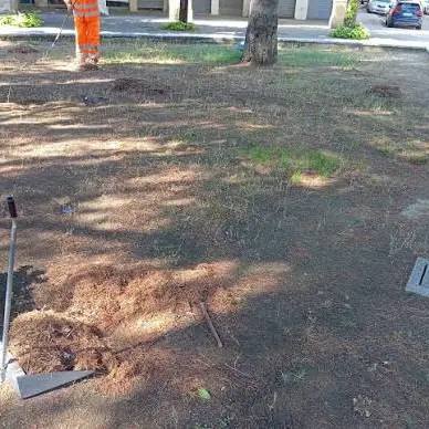 Decoro urbano, il Comune di Cosenza replica a Strazzulli: «Parlano i fatti, non le polemiche»\n