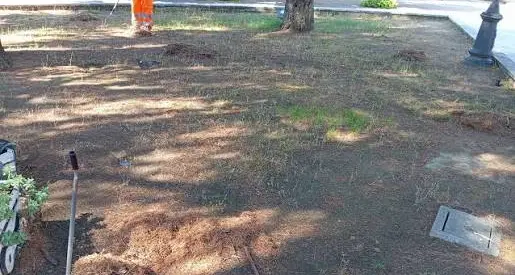 Decoro urbano, il Comune di Cosenza replica a Strazzulli: «Parlano i fatti, non le polemiche»\n