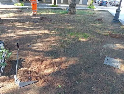 Decoro urbano, il Comune di Cosenza replica a Strazzulli: «Parlano i fatti, non le polemiche»\n