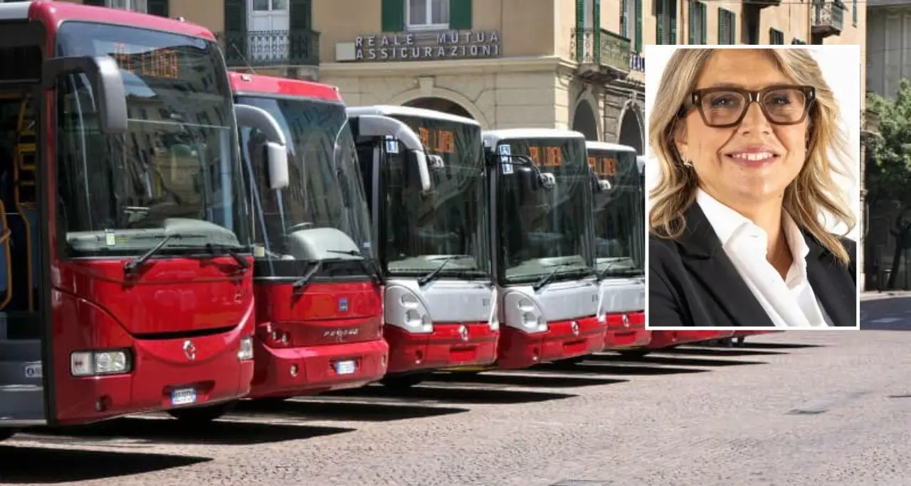 Mancata vendita Amaco, Rende: «Regione riprenda percorso di subentro da parte di Cometra»\n