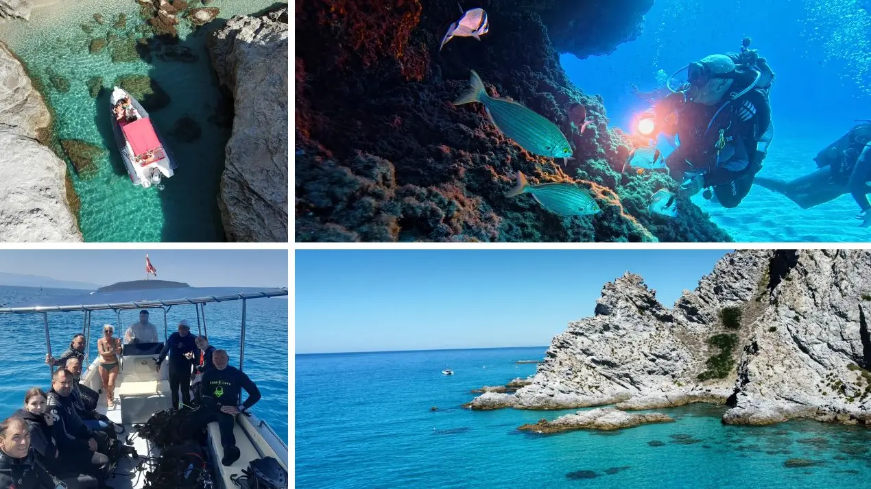 Foto e video di Mondo blu diving center di Capo Vaticano