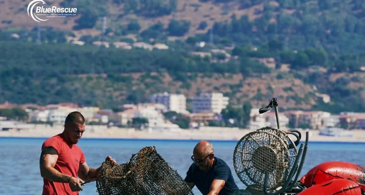Blue Rescue: ricerca, tutela e partecipazione sulla Costa Ionica per proteggere il mare\n