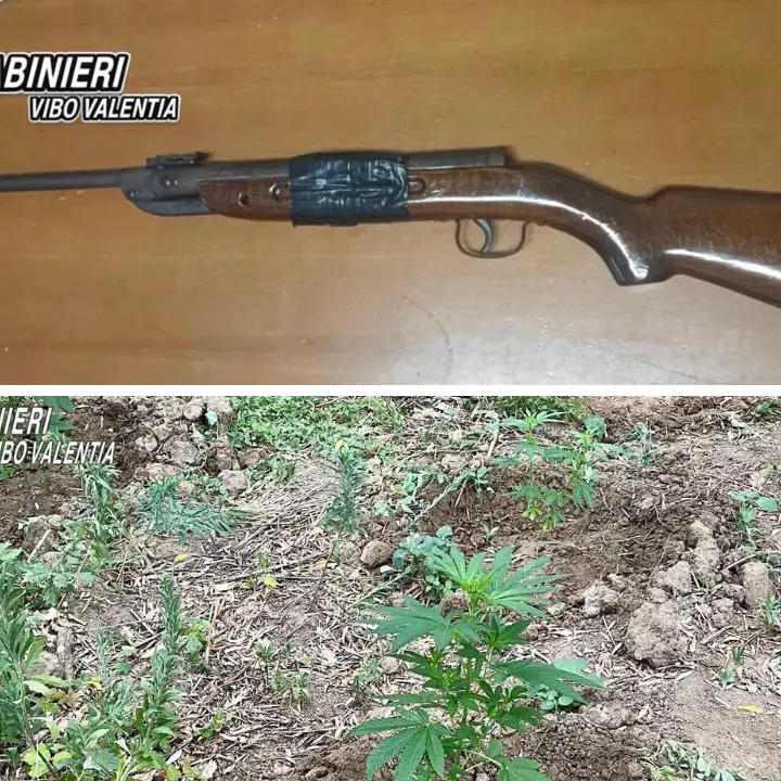 Armi e marijuana nel Vibonese: una carabina rubata sequestrata a Dinami e un arresto a Polia per coltivazione di\u00A0cannabis\n