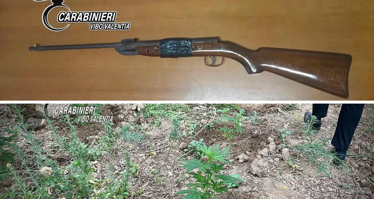 Armi e marijuana nel Vibonese: una carabina rubata sequestrata a Dinami e un arresto a Polia per coltivazione di\u00A0cannabis\n
