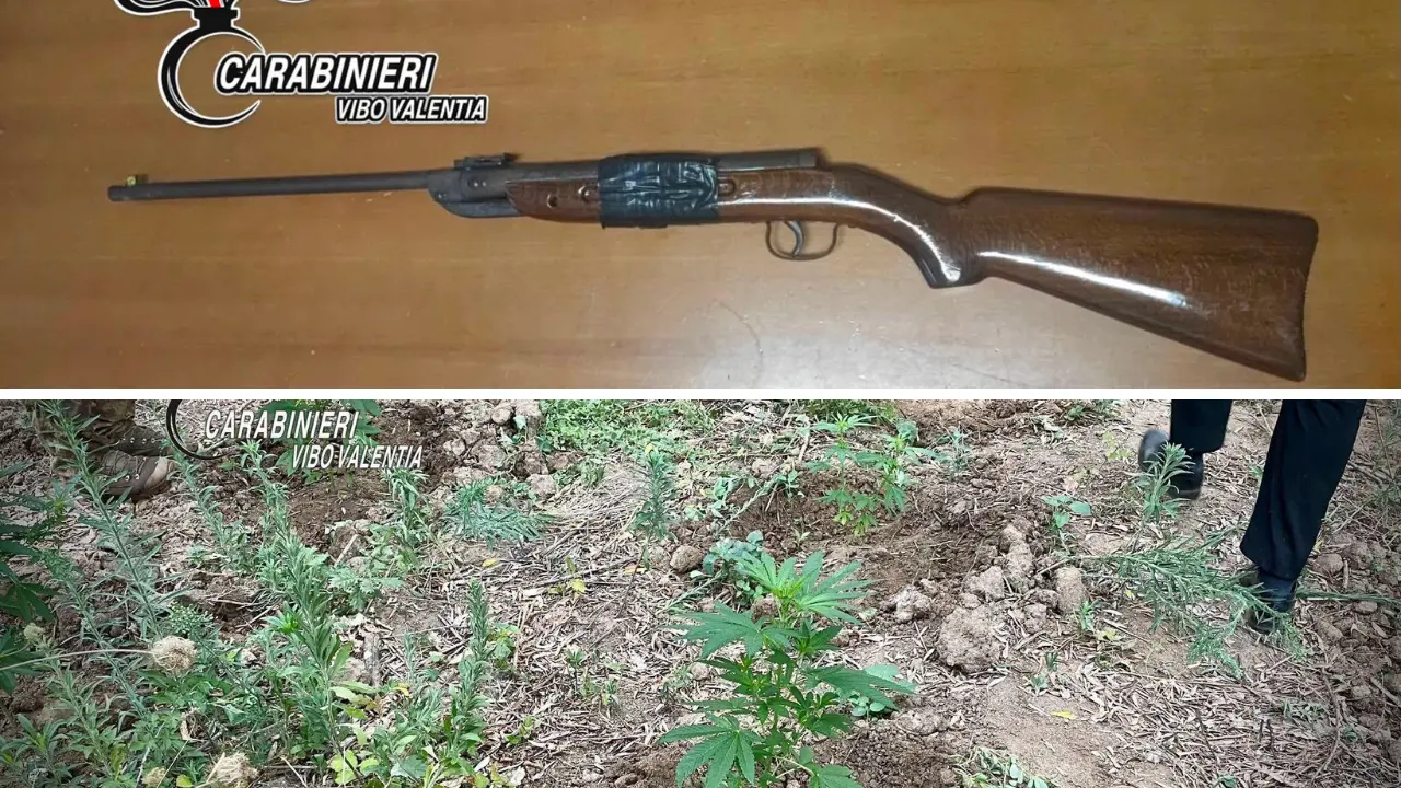 Armi e marijuana nel Vibonese: una carabina rubata sequestrata a Dinami e un arresto a Polia per coltivazione di\u00A0cannabis\n
