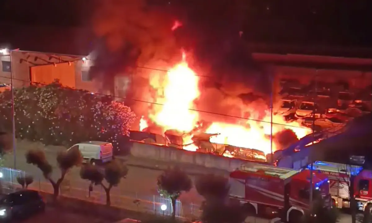 Cosenza, mezzi in fiamme nel deposito di Ecologia Oggi: ipotesi dolosa, Caruso stigmatizza