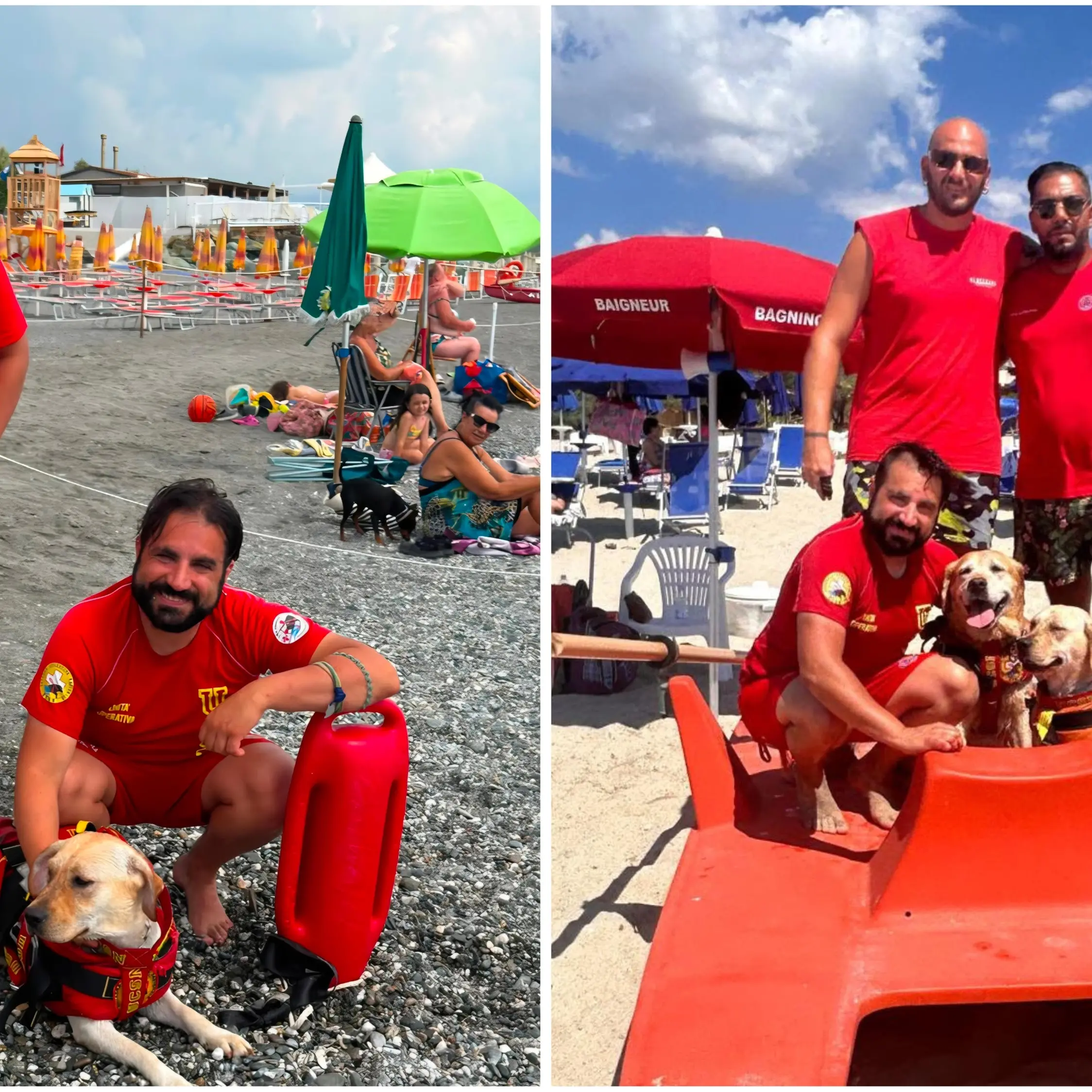 Cani bagnino, eroi\u00A0in prima linea per la sicurezza sulle spiagge:\u00A0«La regola è una in acqua: si entra e si esce insieme»\n