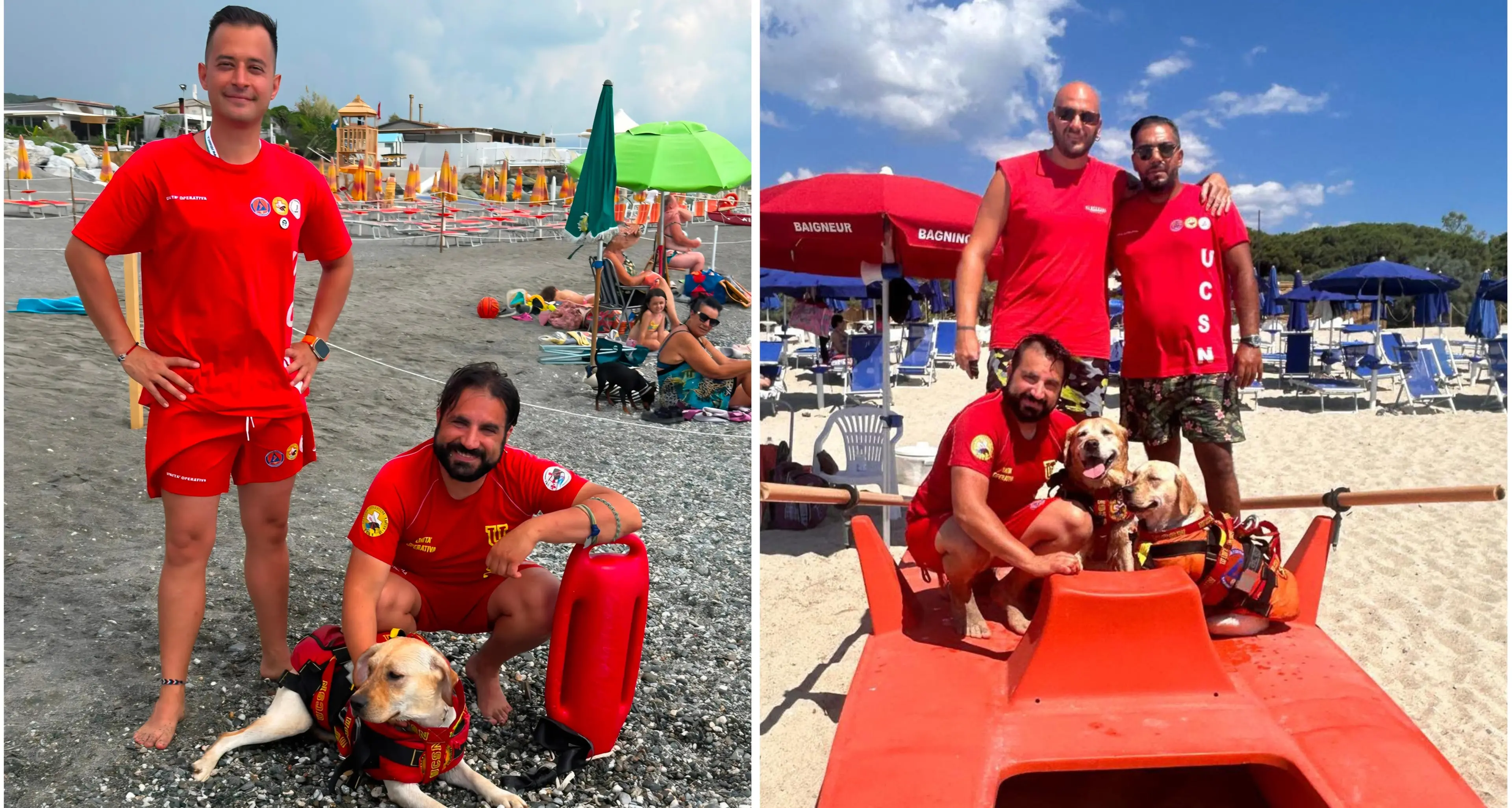 Cani bagnino, eroi\u00A0in prima linea per la sicurezza sulle spiagge:\u00A0«La regola è una in acqua: si entra e si esce insieme»\n