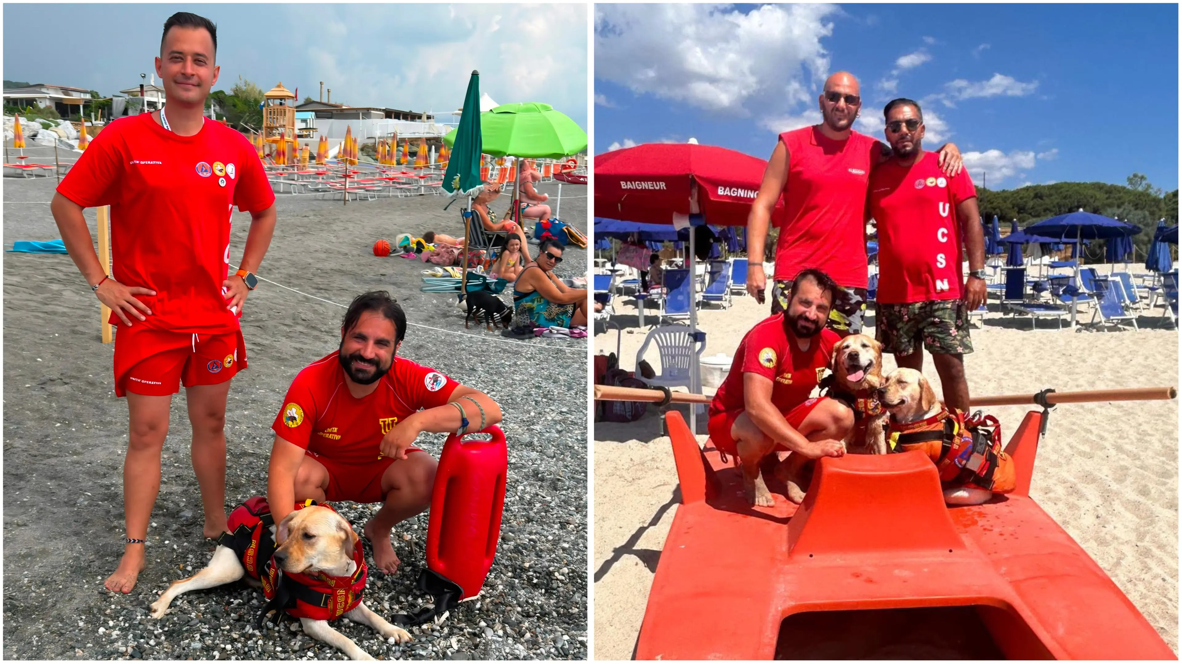 Cani bagnino, eroi\u00A0in prima linea per la sicurezza sulle spiagge:\u00A0«La regola è una in acqua: si entra e si esce insieme»\n