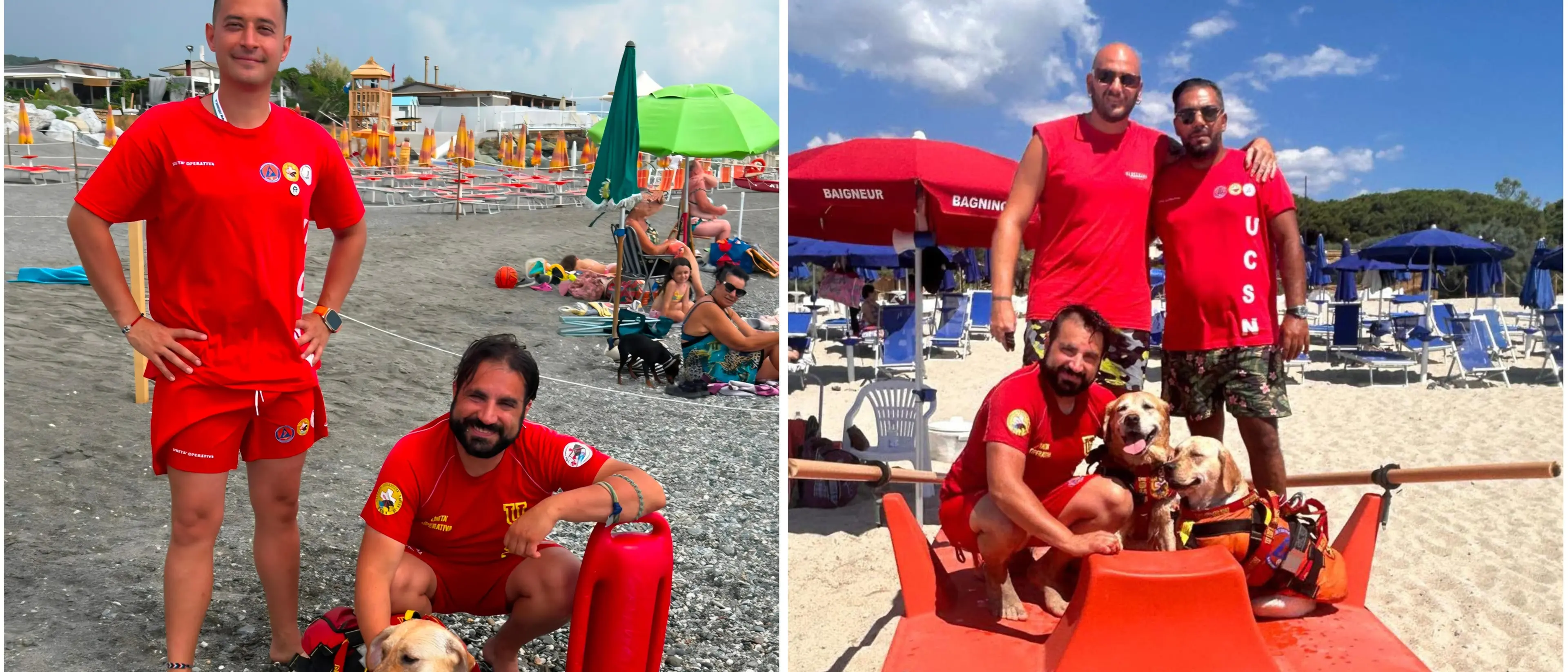 Cani bagnino, eroi\u00A0in prima linea per la sicurezza sulle spiagge:\u00A0«La regola è una in acqua: si entra e si esce insieme»\n