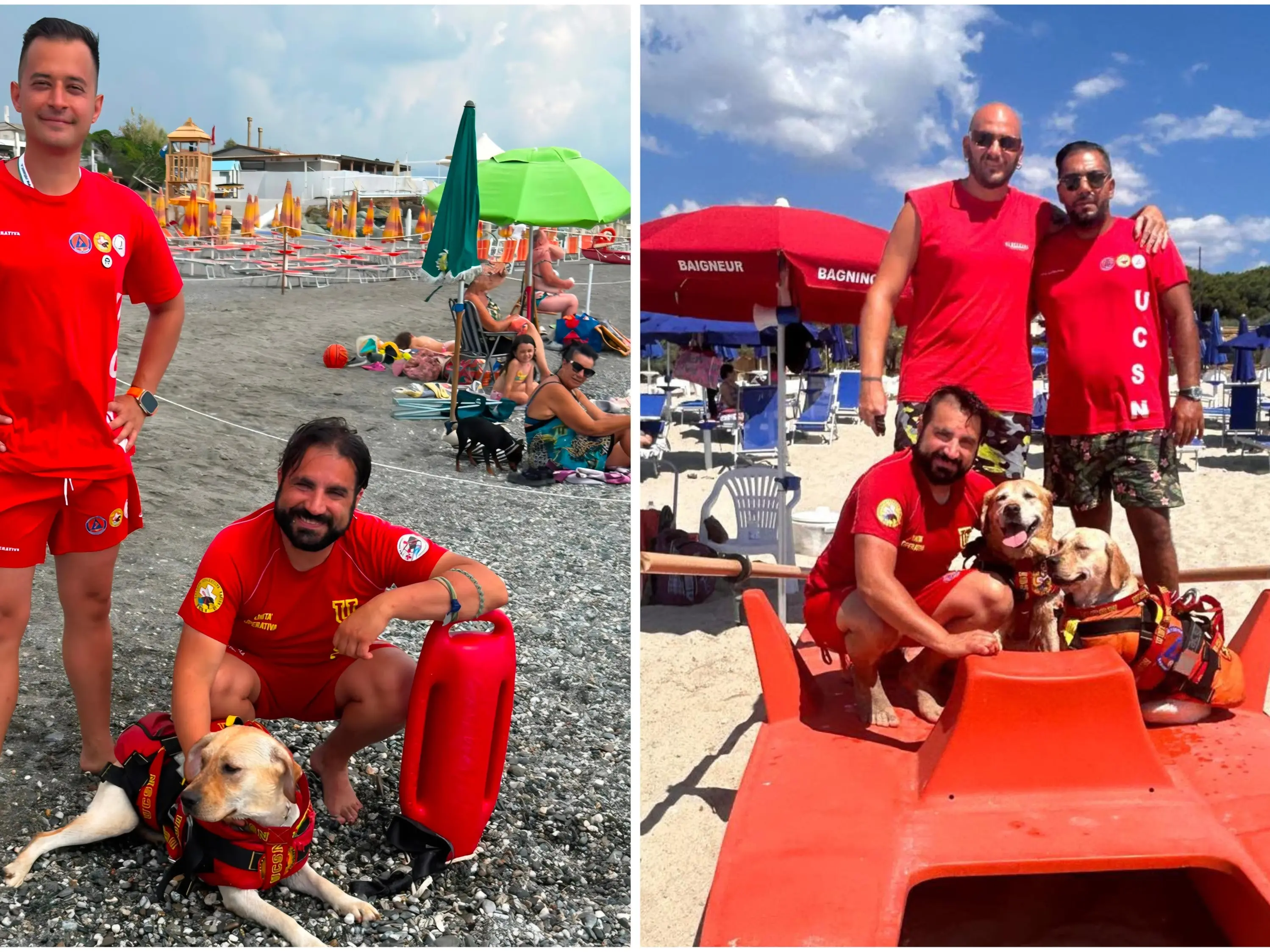 Cani bagnino, eroi in prima linea per la sicurezza sulle spiagge: «La regola è una in acqua: si entra e si esce insieme»