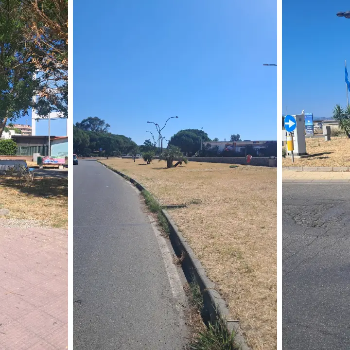 Catanzaro Lido, Riccio attacca Fiorita:\u00A0«Vergogna! Sul lungomare aiuole secche, ingiallite e\u00A0abbandonate»\n