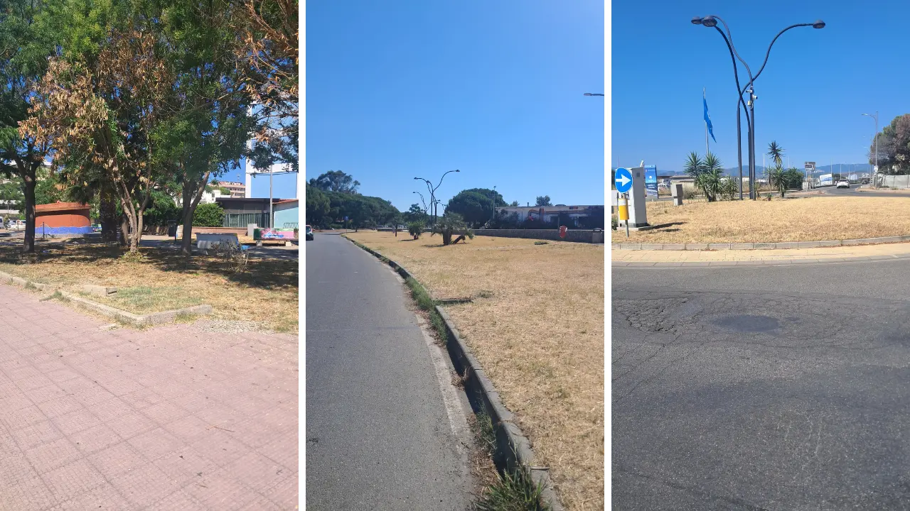 Catanzaro Lido, Riccio attacca Fiorita:\u00A0«Vergogna! Sul lungomare aiuole secche, ingiallite e\u00A0abbandonate»\n
