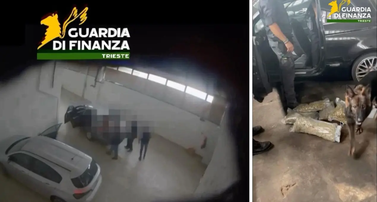 Droga sulle spiagge della movida veneta e friulana: 16 arresti e sequestri per oltre un milione di euro\n