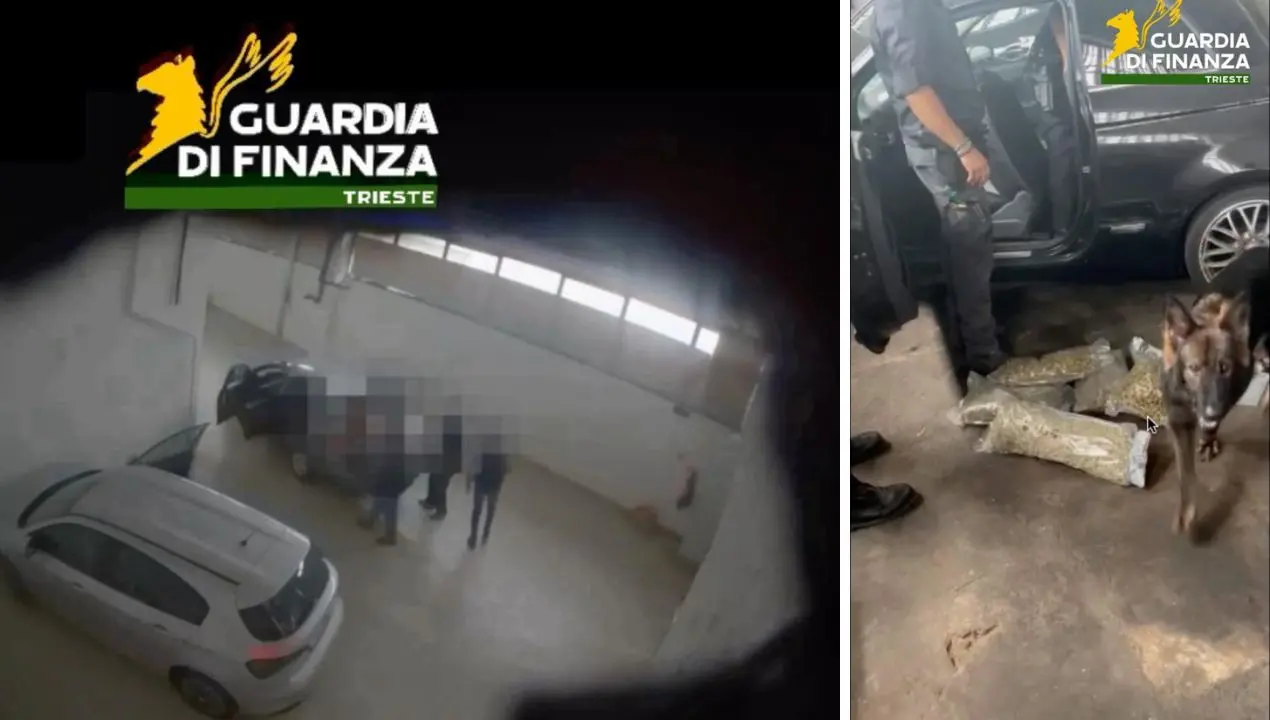 Droga sulle spiagge della movida veneta e friulana: 16 arresti e sequestri per oltre un milione di euro\n