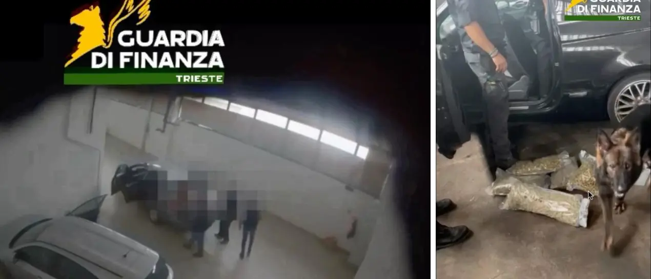 Droga sulle spiagge della movida veneta e friulana: 16 arresti e sequestri per oltre un milione di euro\n
