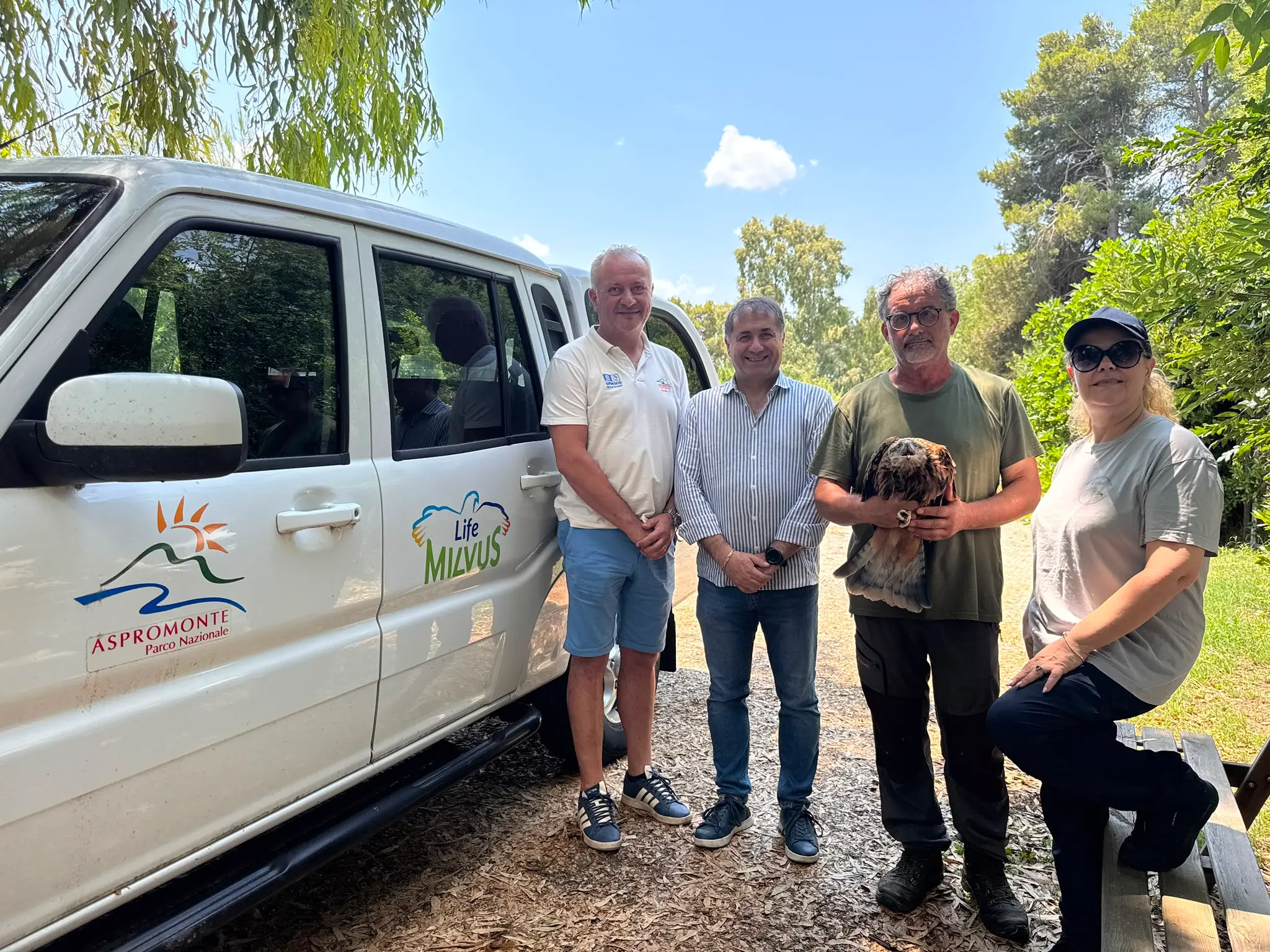 Parco Nazionale dell’Aspromonte e Parco della Murgia Materana collaborano per la conservazione del nibbio reale\n