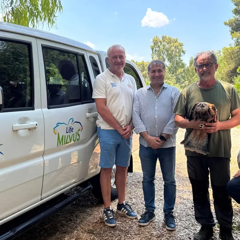 Aspromonte, tornano a volare i nibbi reali: al via il rilascio dei giovani rapaci del progetto Life Milvus\n