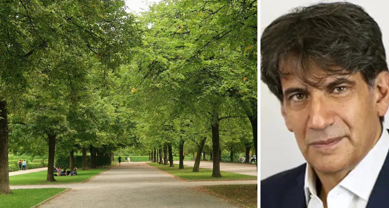 Estati sempre più calde, Tansi: «Le nostre città da ripensare. Gli alberi\u00A0sono il climatizzatore naturale più efficace»\n
