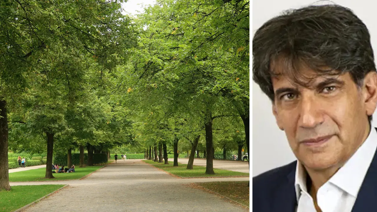 Estati sempre più calde, Tansi: «Le nostre città da ripensare. Gli alberi\u00A0sono il climatizzatore naturale più efficace»\n
