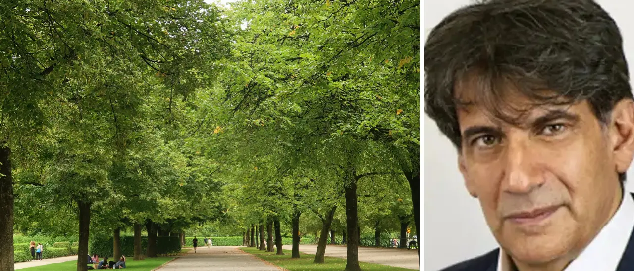 Estati sempre più calde, Tansi: «Le nostre città da ripensare. Gli alberi\u00A0sono il climatizzatore naturale più efficace»\n