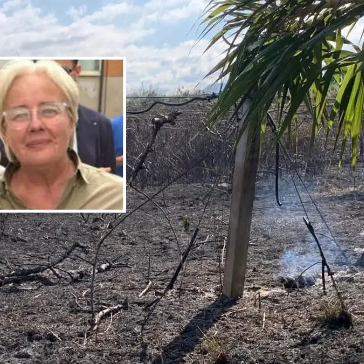 Nuova intimidazione a Patrizia Rodi Morabito,\u00A0bruciate coltivazioni di kiwi e ulivi a Rosarno: «La terra ancora fuma»\n