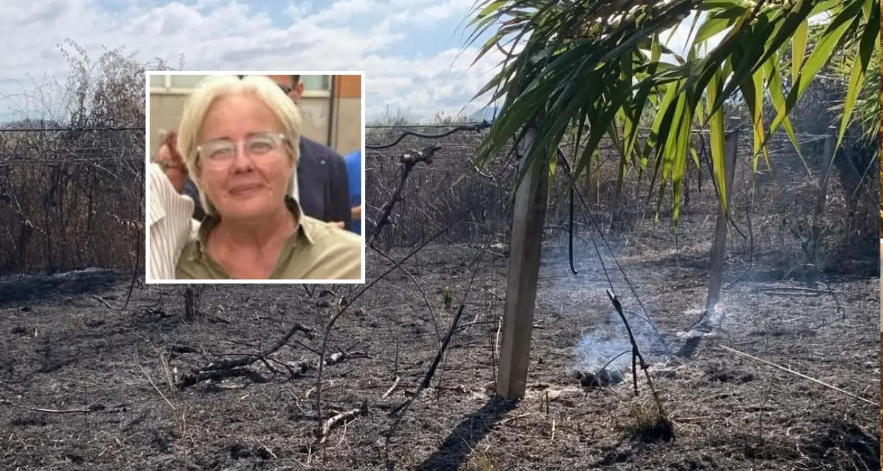 Nuova intimidazione a Patrizia Rodi Morabito,\u00A0bruciate coltivazioni di kiwi e ulivi a Rosarno: «La terra ancora fuma»\n