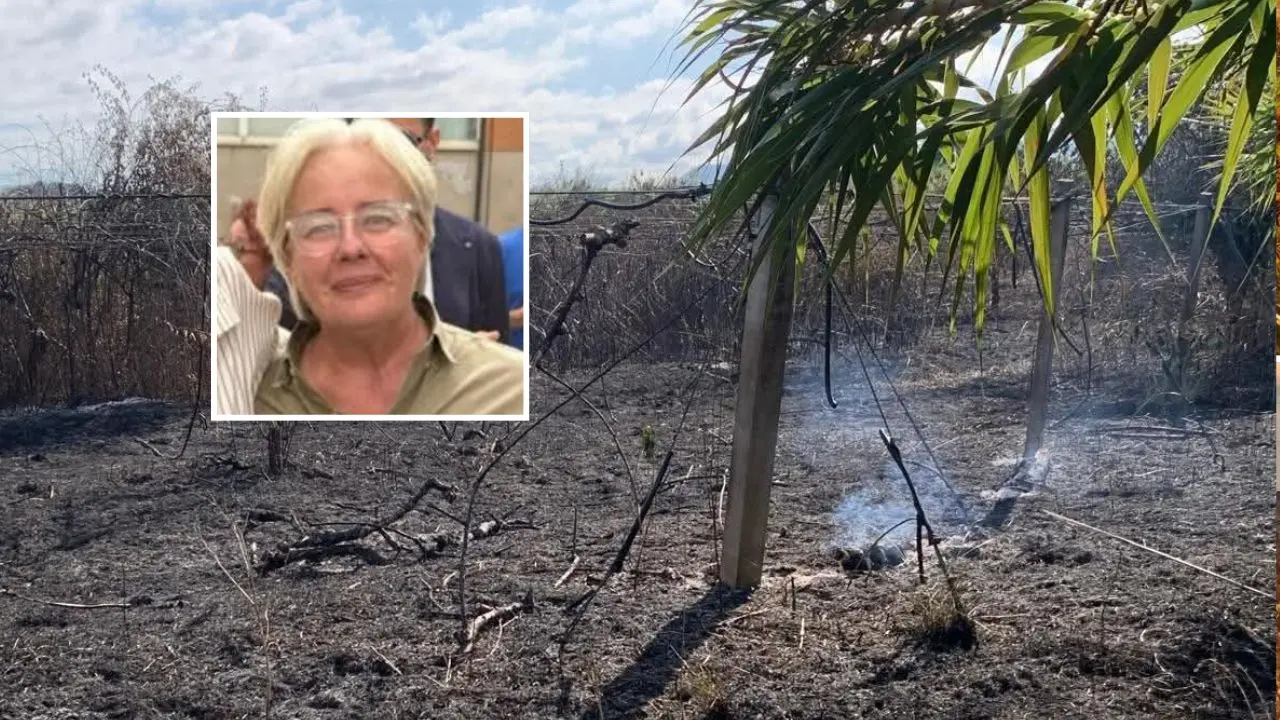 Nuova intimidazione a Patrizia Rodi Morabito,\u00A0bruciate coltivazioni di kiwi e ulivi a Rosarno: «La terra ancora fuma»\n