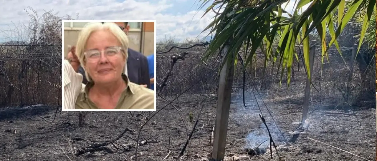 Nuova intimidazione a Patrizia Rodi Morabito,\u00A0bruciate coltivazioni di kiwi e ulivi a Rosarno: «La terra ancora fuma»\n
