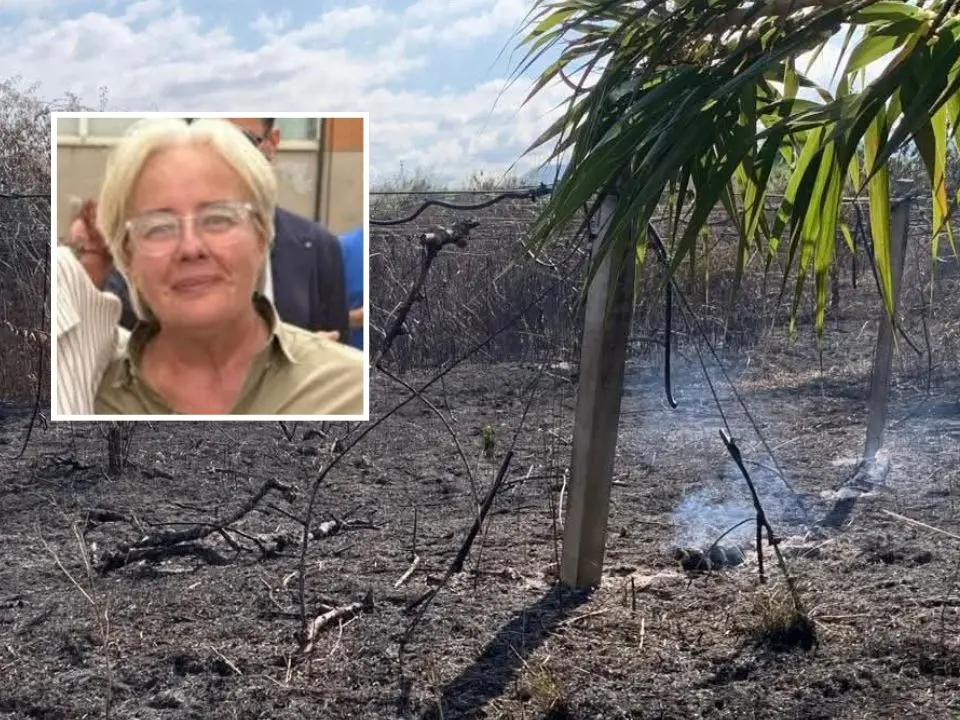 Nuova intimidazione a Patrizia Rodi Morabito, bruciate coltivazioni di kiwi e ulivi a Rosarno: «La terra ancora fuma»
