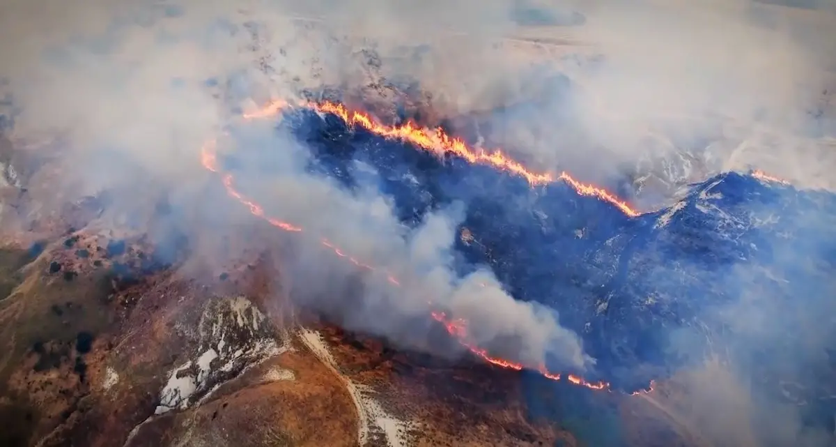 Lotta agli incendi e tutela del mare, la Regione lancia l’app\u00A0CalabriAmbiente per segnalazioni e aggiornamenti\n