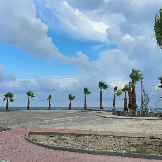 Bivona più verde grazie alla donazione di un cittadino: nuove palme lungo via del Pescatore\n