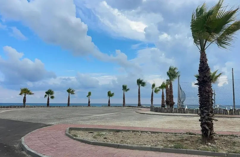 Bivona più verde grazie alla donazione di un cittadino: nuove palme lungo via del Pescatore\n