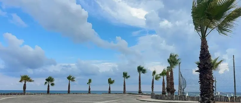 Bivona più verde grazie alla donazione di un cittadino: nuove palme lungo via del Pescatore\n