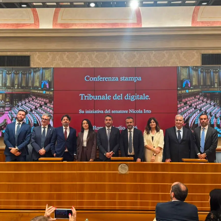 Giustizia: presentato in Senato il ddl Irto per sezioni specializzate in digitale\n