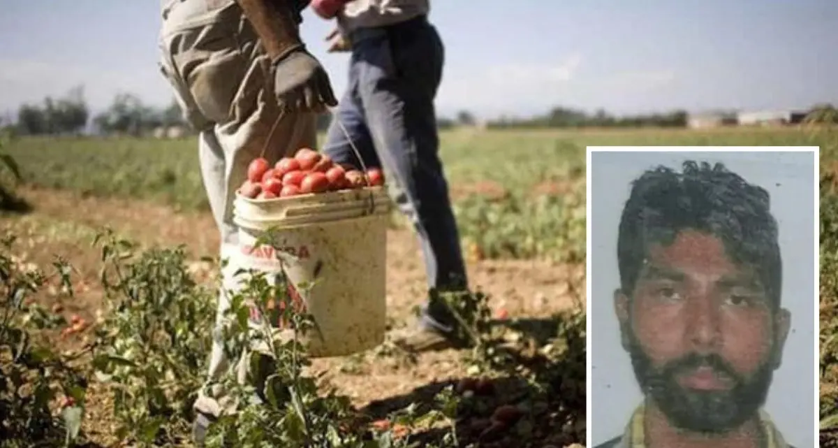 Bracciante lasciato davanti casa con un braccio amputato, il datore di lavoro condannato a 16 anni per omicidio\n