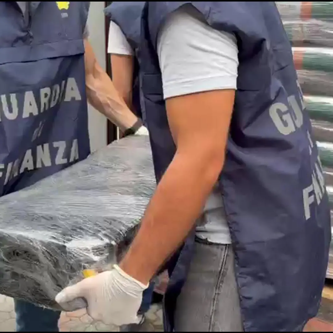 <p>La droga nascosta nei sacchi di pellet, 113 chili di cocaina sequestrati al porto di Gioia Tauro</p>