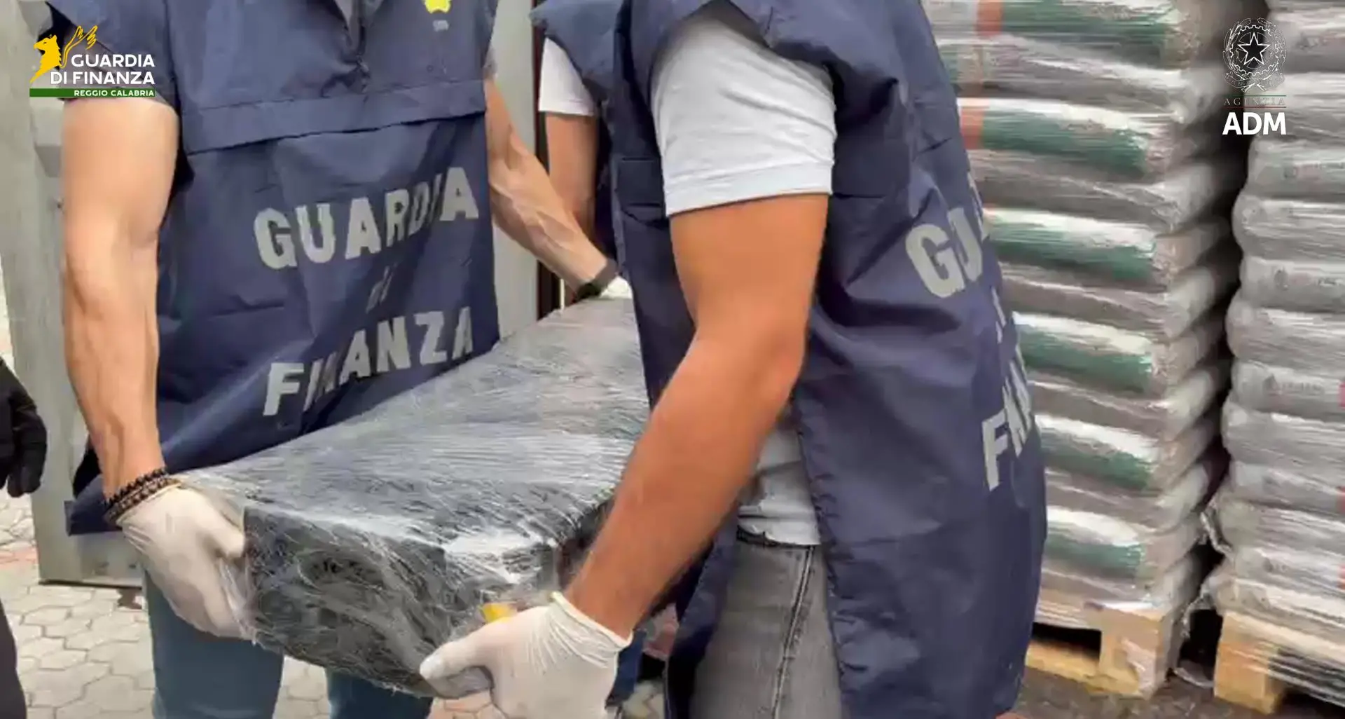 La droga nascosta nei sacchi di pellet, 113 chili di cocaina sequestrati al porto di Gioia Tauro\n
