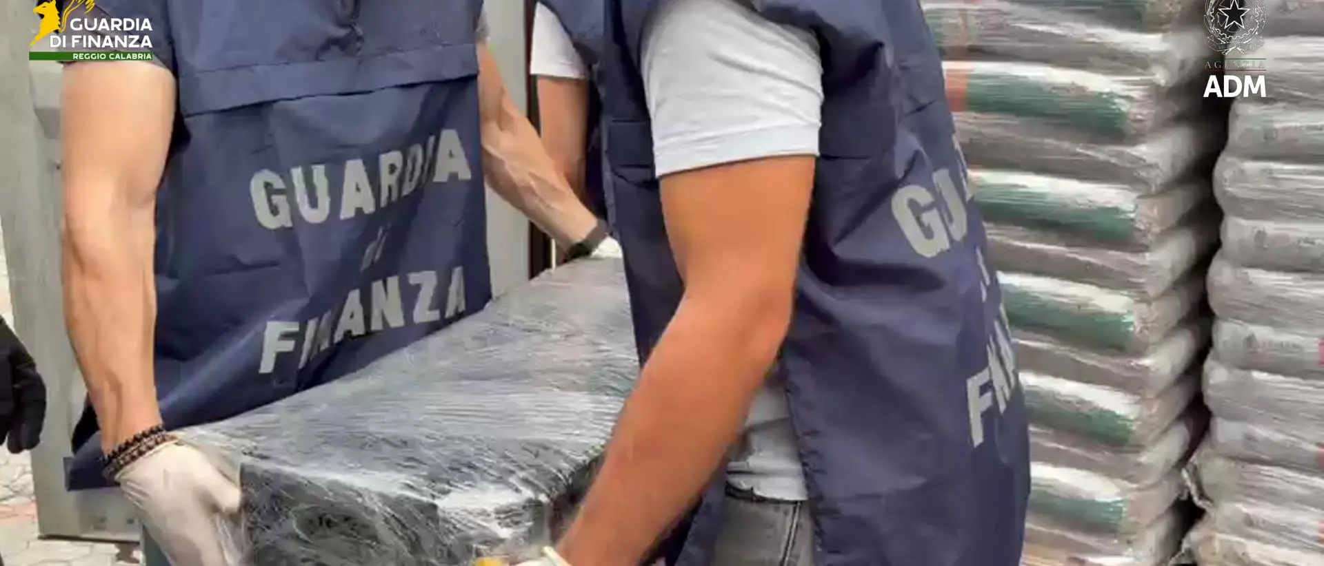 La droga nascosta nei sacchi di pellet, 113 chili di cocaina sequestrati al porto di Gioia Tauro\n