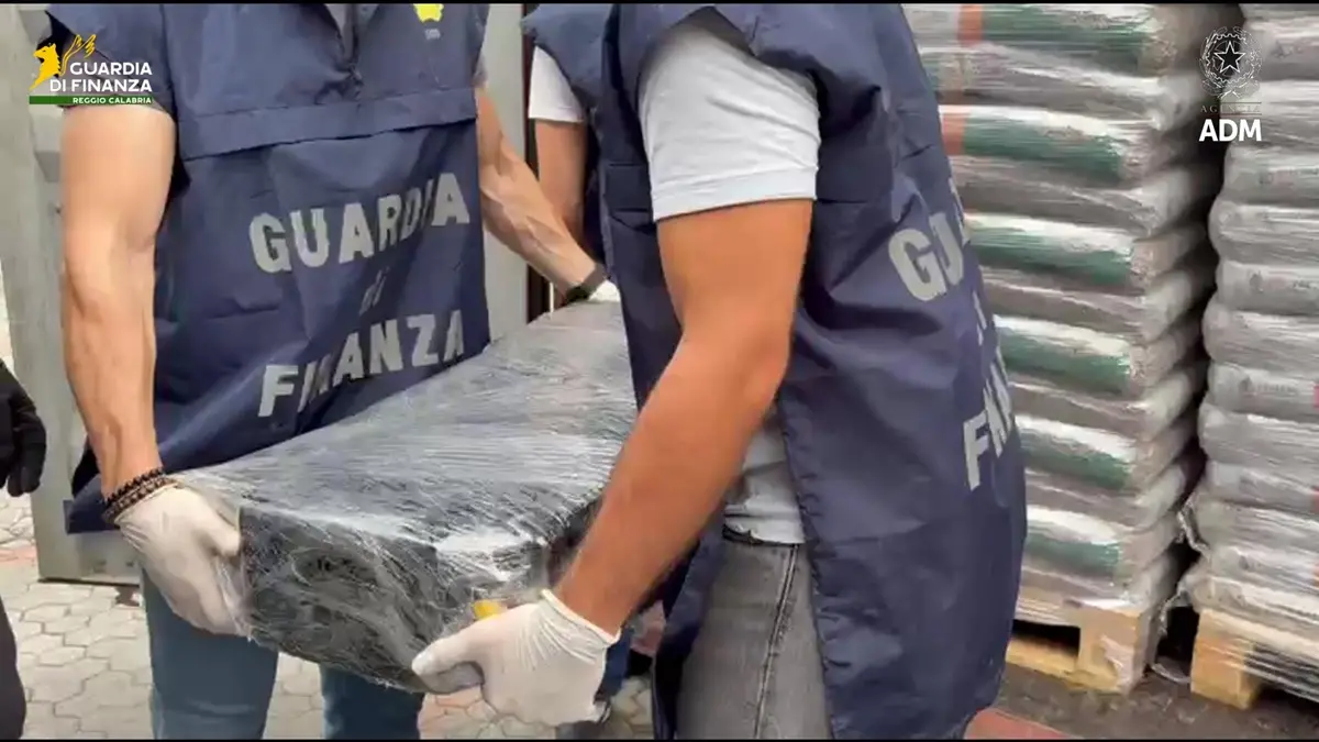 Al porto di Gioia Tauro\u00A0sequestrati oltre 113 kg di cocaina purissima proveniente dal Sud America