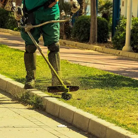 Pulizia del verde a Rende, ecco tutte le zone interessate dagli interventi\n