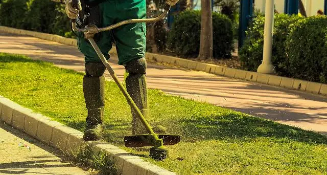 Pulizia del verde a Rende, ecco tutte le zone interessate dagli interventi\n