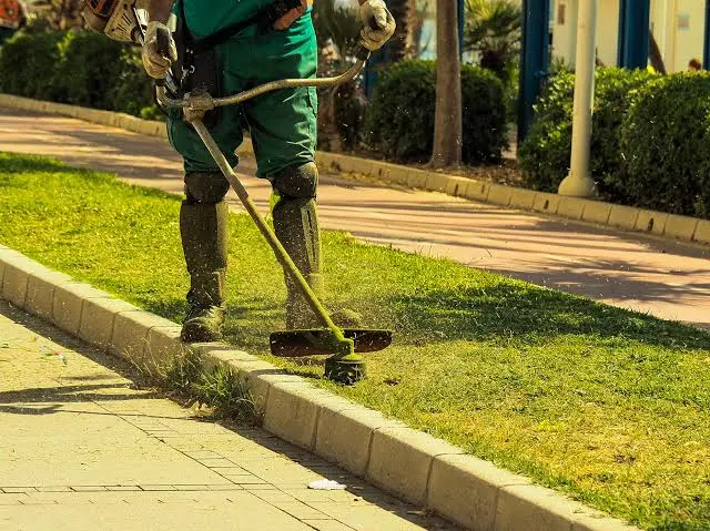 Rende, capillare pulizia del verde: ecco il calendario degli interventi\n