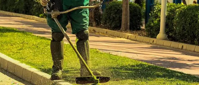 Rende, capillare pulizia del verde: ecco il calendario degli interventi\n